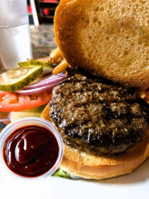 Bison Burger